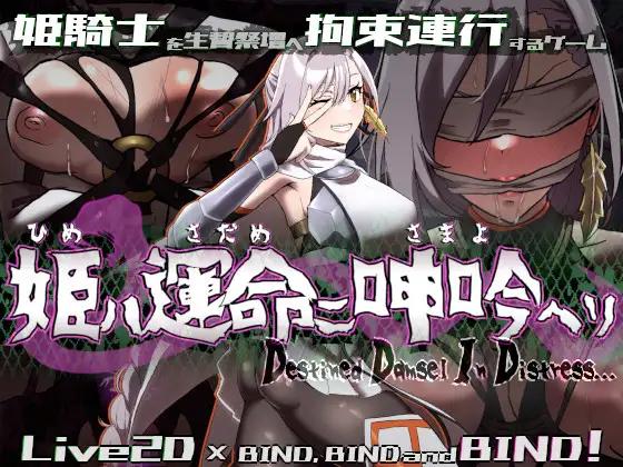 Adult Game -  Egig ere faundation - Destined Damsel In Distress Ver.1.0.5 Final (eng)